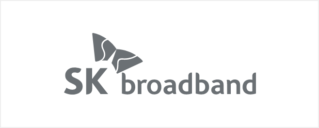 SK broadband